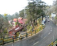 Shimla